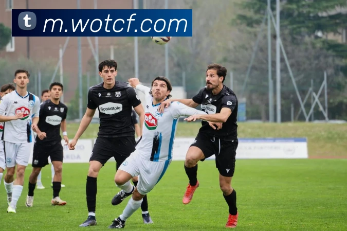 超凡国际全站App 超凡国际全站App